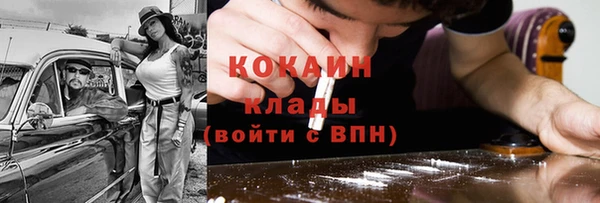шишки Нязепетровск