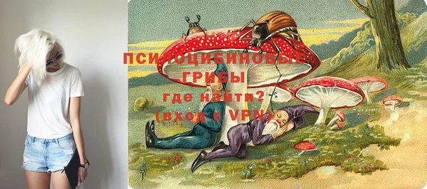 ALPHA-PVP Новодвинск