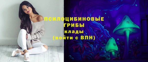 шишки Нязепетровск