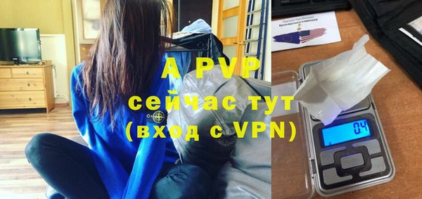 шишки Нязепетровск