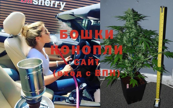 ГАЛЛЮЦИНОГЕННЫЕ ГРИБЫ Новокубанск