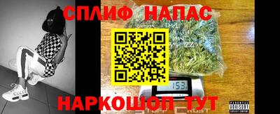 дживик Бийск