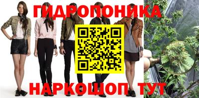 мяу мяу мука Гусиноозёрск