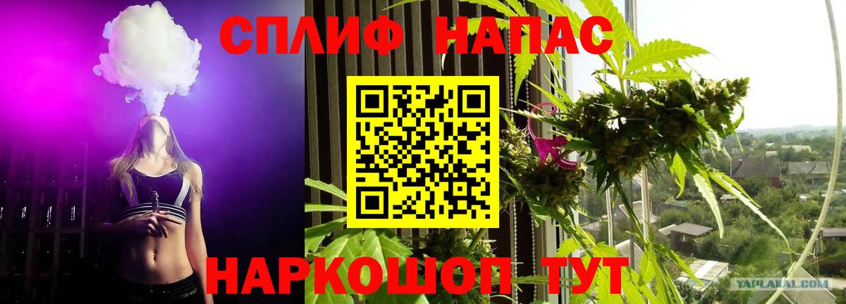Кизилюрт  Бошки Шишки VHQ  Бошки марихуана планчик  МАРИХУАНА гибрид  Вход с VPN 